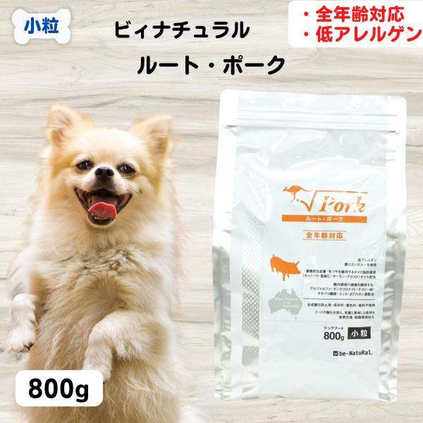 dog-k9_4571156653212