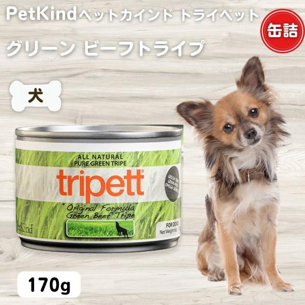 ザッツイット SAPバイソントライプ