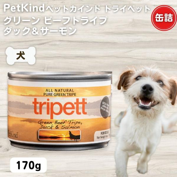 ザッツイット SAPダック