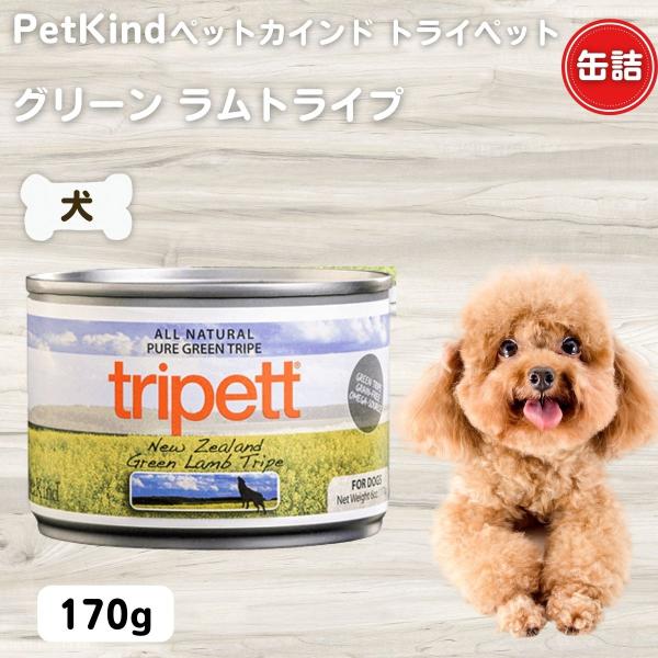 ザッツイット SAPワイルドサーモン