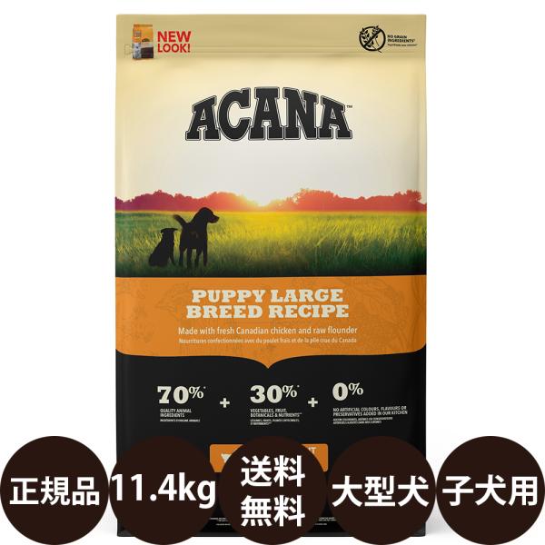 ACANA（アカナ） パピーラージブリードレシピ 11.4kg : 豊富な品揃え