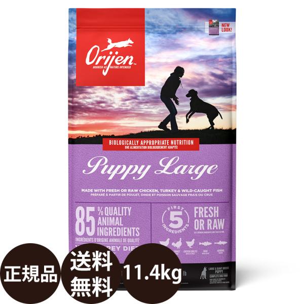 ORIJEN（オリジン） オリジンパピーラージ 11.4kg : 豊富な品揃え