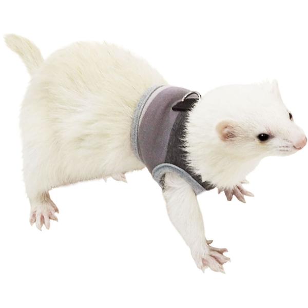 レインボー ferret ランランハーネスウェア ボーダー ( S M )レインボーならではの可愛いデザインのハーネスになるウェアです。マジックテープとホックの2種類を使いおなか側で止める方式です。内側はクッション材入りで生体に優しい作りで...