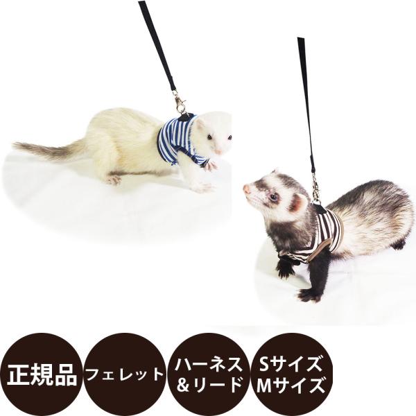 ferret ランランハーネス ボーダー SMおしゃれで機能性もバッチリなリード付きハーネスウェアです。人気のボーダー柄のハーネスです。落ち着いたカラーで使いやすい！