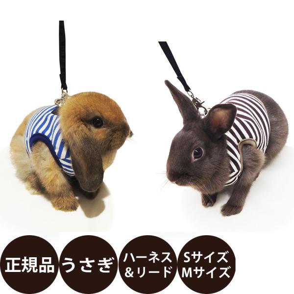 rabbit ランランハーネス ボーダー SMおしゃれで機能性もバッチリなリード付きハーネスウェアです。人気のボーダー柄のハーネスです。落ち着いたカラーで使いやすい！