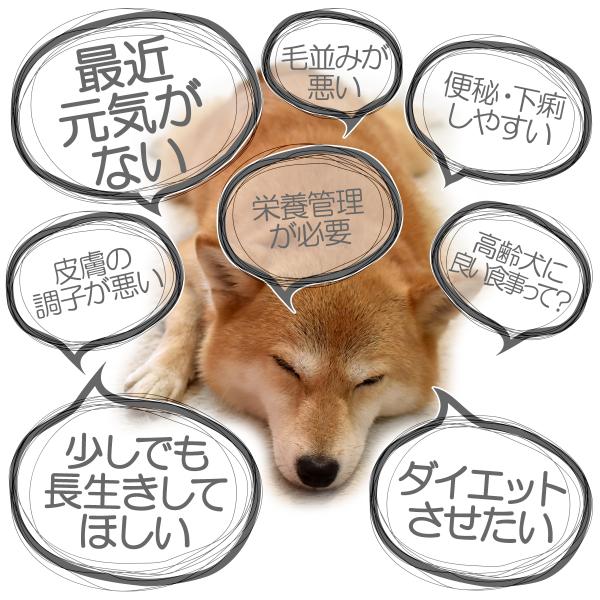 犬用ふりかけ 野菜発酵ベジパワー 100g ペット腸内環境イノベーション 植物発酵 発酵野菜パウダー 手作りごはん おやつ サプリ ドッグフード ベジパワー Buyee Buyee Japanese Proxy Service Buy From Japan Bot Online