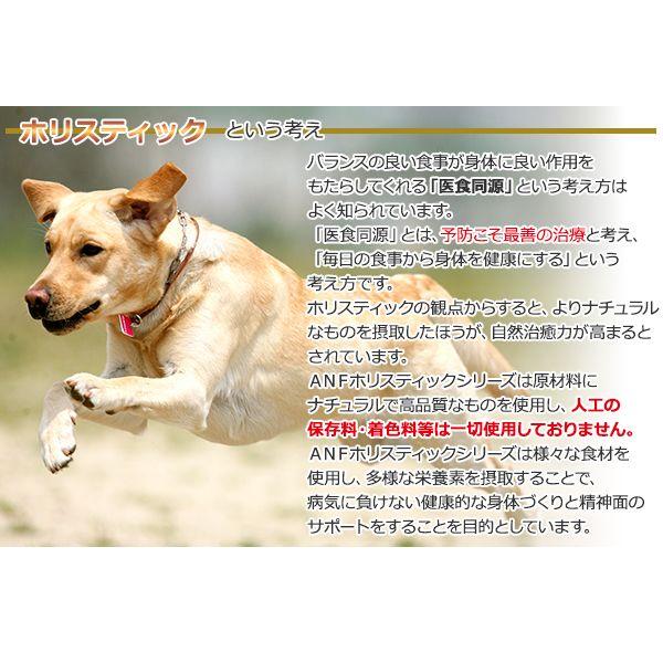 成犬用ドッグフード Anf ケイナインホリスティック フィッシュ ポテト 3kg 正規品 Buyee Buyee 일본 통신 판매 상품 옥션의 대리 입찰 대리 구매 서비스