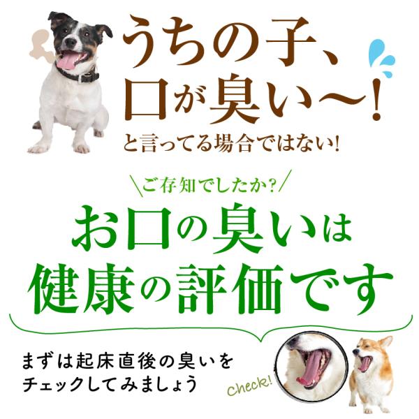 犬 猫の歯石 歯垢 口の臭いに 食べる歯磨き革命 お試し 歯磨きが苦手な犬用 無添加 サプリ メール便 送料無料 Buyee Buyee 提供一站式最全面最專業現地yahoo Japan拍賣代bid代拍代購服務 Bot Online