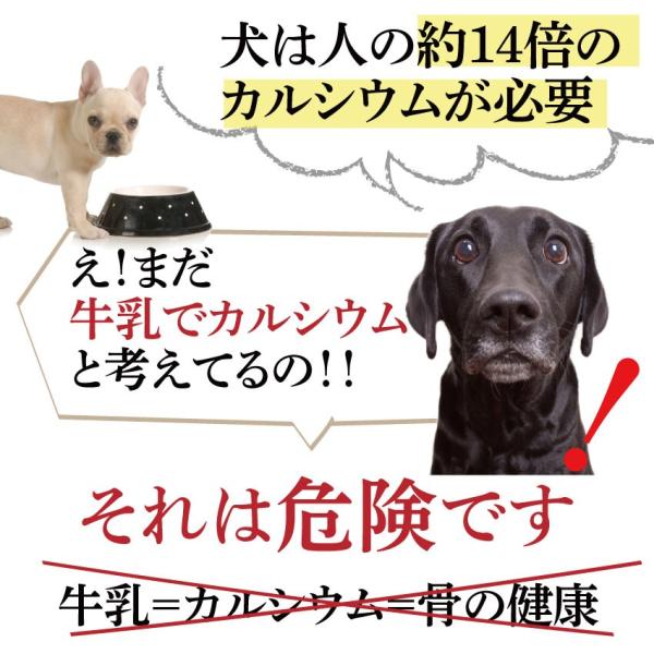 数量限定販売 犬 関節 おやつ お魚 クッキー 3袋 無添加 国産 通常便 Buyee Buyee Japanese Proxy Service Buy From Japan Bot Online