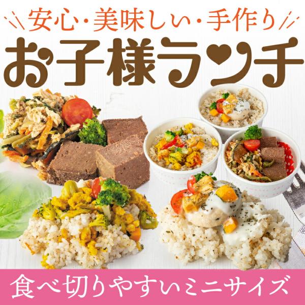 犬 手作りご飯 犬用 お子様ランチ ごはん 無添加 国産 Buyee Buyee 提供一站式最全面最專業現地yahoo Japan拍賣代bid代拍代購服務 Bot Online