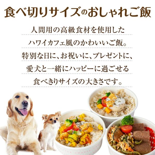 犬 手作りご飯 犬用 お子様ランチ ごはん 無添加 国産 Buyee Buyee Japanese Proxy Service Buy From Japan Bot Online