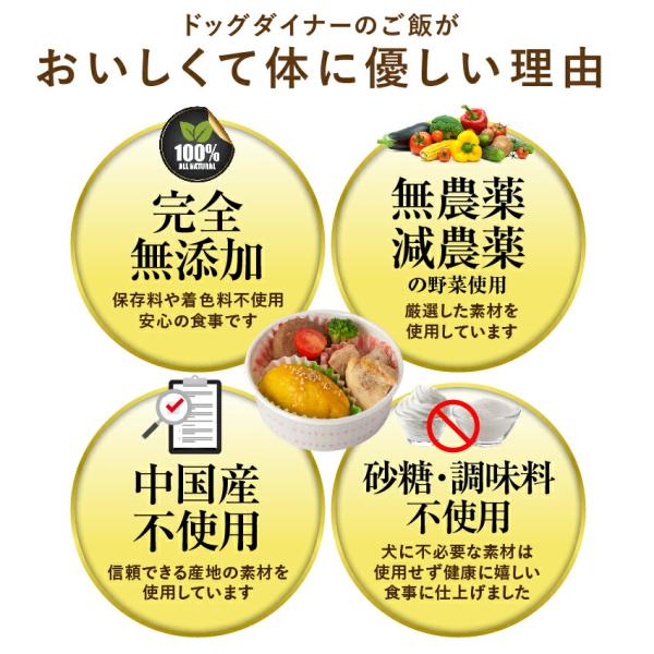 犬 手作りご飯 犬用 お子様ランチ ごはん 無添加 国産 Buyee Buyee Japanese Proxy Service Buy From Japan Bot Online