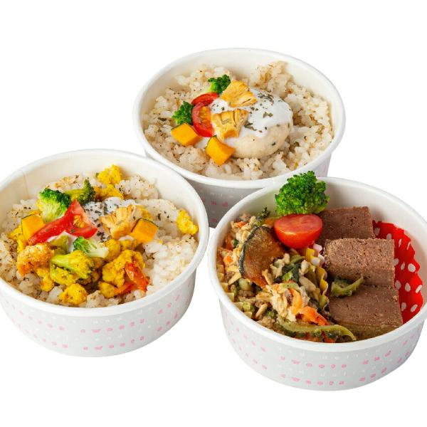 犬用 手作りご飯 お子様ランチ 3個 無添加 国産 ごちそう 手作りごはん トッピング 犬の誕生日 お祝い ご褒美 健康おやつ 低カロリー ダイエット対応