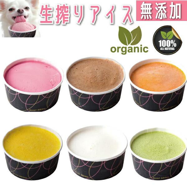 犬用アイス 無添加 国産 ヒューマン ド 熱中症対策 夏バテ防止 水分補給 手作り食補助 食欲不振サポート アイス 栄養補給