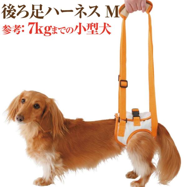 犬 歩行 介護用品 歩行補助 後ろ足 ハーネスm 高齢犬 シニア 老犬 犬用 Buyee Buyee บร การต วกลางจากญ ป น ซ อจากประเทศญ ป น