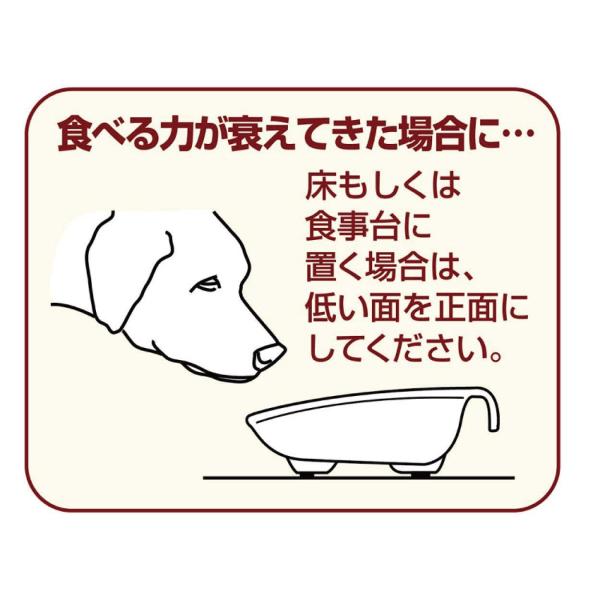 老犬 高齢犬 シニア 介護用 寝たきりの犬の為の食器 フードボウル M 持ち手付き Buyee Buyee Japanese Proxy Service Buy From Japan Bot Online
