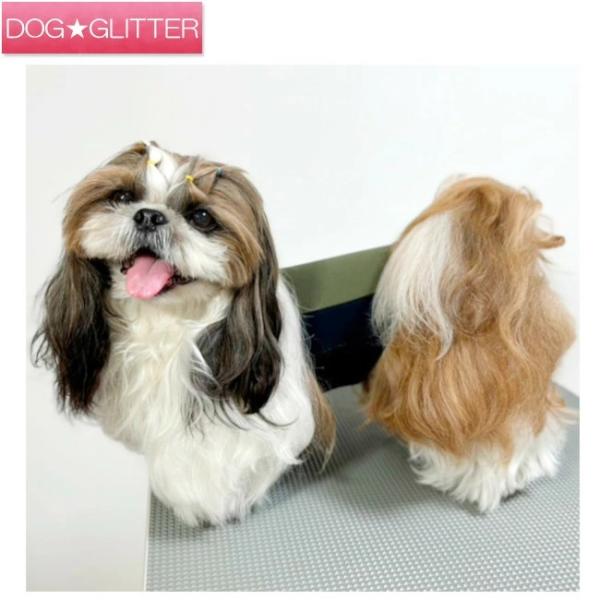 PROMO THERMO BACK's プロモサーモバックス ブラックシリカ for Pets Sサイズ