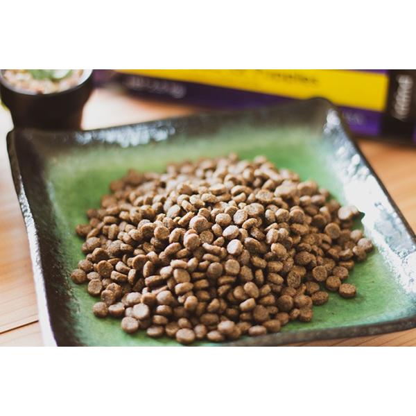 Pro Pac Ultimates プロパック アルティメッツ ドッグフード パピー チキン ブラウンライス2 5kg Buyee Buyee Japanese Proxy Service Buy From Japan Bot Online