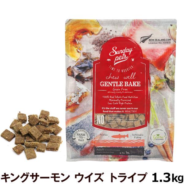サンデーペッツ ドッグフード ジェントルベイク グレインフリー キングサーモン ウィズトライプ 1.3kg 犬 ドックフード 成犬