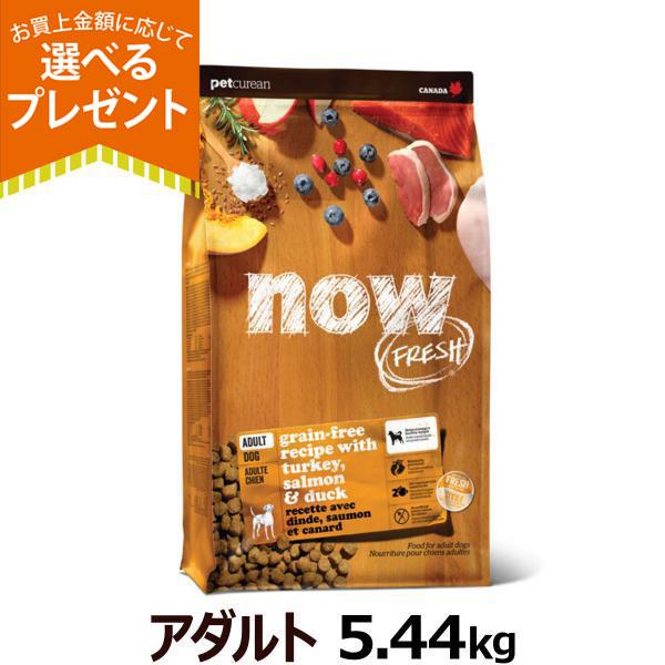 (選べるプレゼント付き)ナウ フレッシュ アダルト5.44kg 犬 ドッグ ドック 成犬 アダルト フレッシュミート ドライ