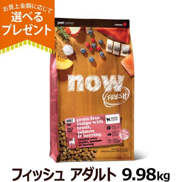 ナウ フレッシュ グレインフリー フィッシュ
