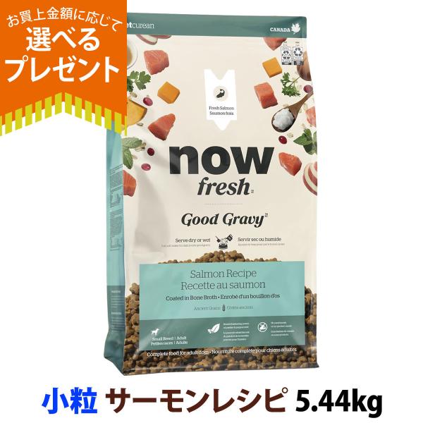 (選べるプレゼント付き)ナウフレッシュ グッドグレービー スモールブリード サーモンレシピ 5.54kg 小粒 NOW FRESH 犬