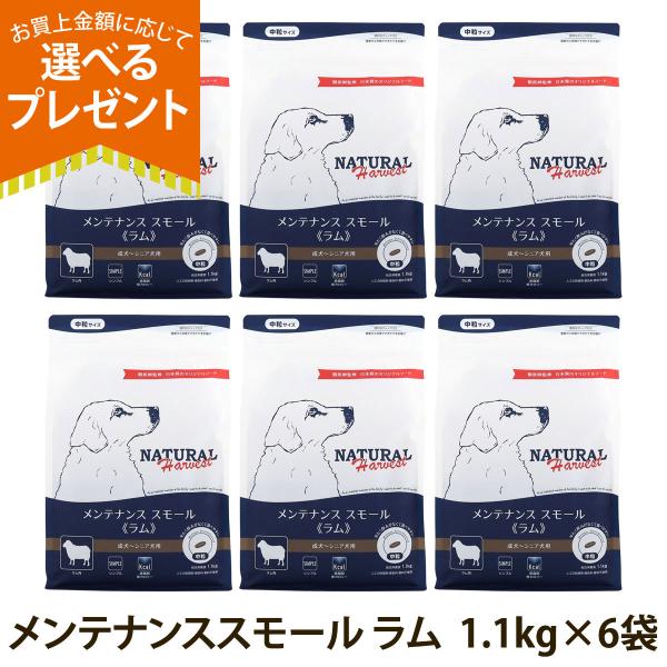 ナチュラルハーベストの解説ナチュラルハーベストは、日本特有の気候や環境を考えて、日本に住む犬の為に設計された日本発オリジナルドッグフード。遺伝子組み換え作物を使用せず、アレルギーになりにくいとされる肉類をできるだけ主要たんぱく質にするなど、...