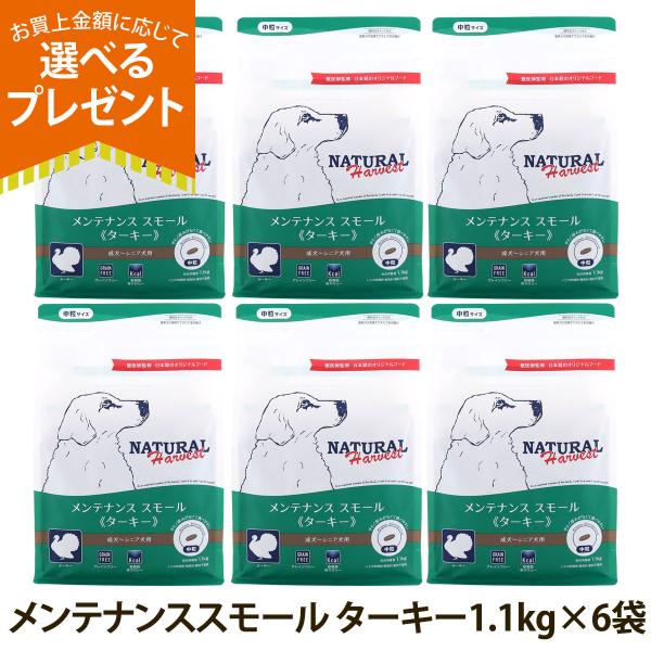 （順次パッケージ変更）(選べるプレゼント付き)ナチュラルハーベスト メンテナンススモール ターキー 1.1kg×6袋 中粒 ドッグフード 低アレルギー