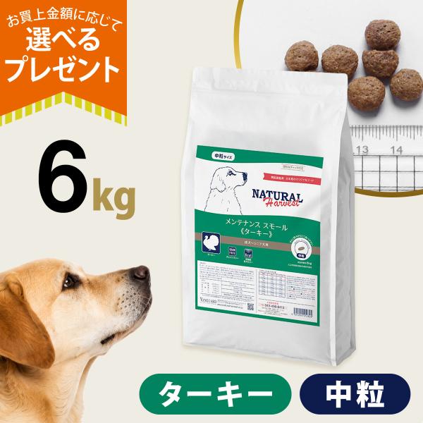 (順次パッケージ変更)(選べるプレゼント付き)ナチュラルハーベスト メンテナンススモール ターキー 6kg 中粒 ドッグフード