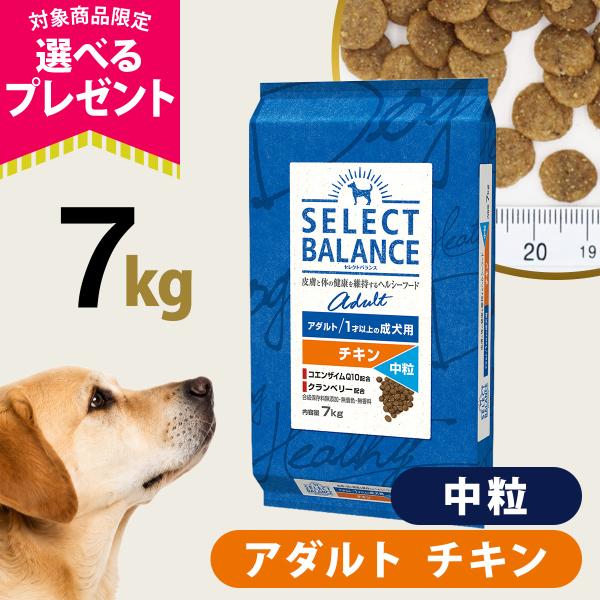 (選べるプレゼント付き)セレクトバランス アダルト チキン 中粒 7kg 成犬 １才以上成犬 犬 ドッグフード ドライ