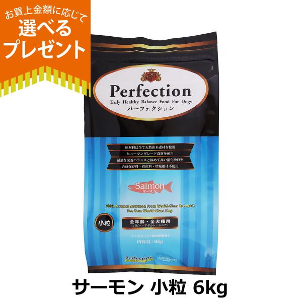 [2026年10月1日価格改定](選べるプレゼント付き)パーフェクション ドッグフード サーモン 小粒 6kg 犬 ドック グルテンフリー 全年齢 Perfection