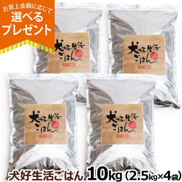 (選べるプレゼント付き) ドッグフード 無添加 国産 犬好生活ごはん。 プレミアム小粒 オールステージ 10kg （2.5kg ×4個セット）ドライ 犬 子犬 成犬 高齢犬