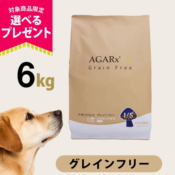 (選べるプレゼント付き)アーテミス アガリクスI/S グレインフリー 小粒 6kg ドッグ 犬 パピー アダルト シニア 穀物不使用 チキン 鶏