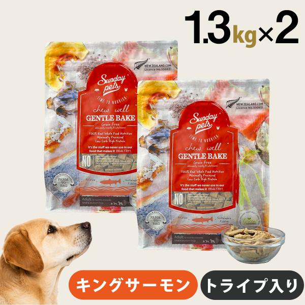 サンデーペッツ ドッグフード ジェントルベイク グレインフリー キングサーモン ウィズトライプ 1.3kg×2個セット 犬 ドックフード