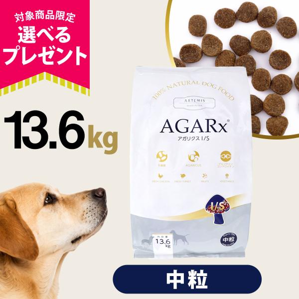 (選べるプレゼント付き) アーテミス アガリクスI/S  中粒13.6kg
