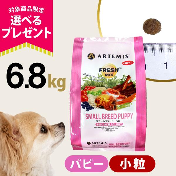(選べるプレゼント付き) アーテミス フレッシュミックス スモールブリード パピー 6.8kg 小粒 小型犬 仔犬