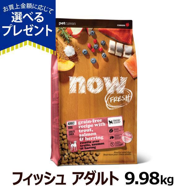 ナウ フレッシュ グレインフリー フィッシュ