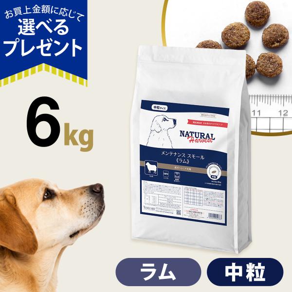 （順次パッケージ変更）(選べるプレゼント付き)ナチュラルハーベスト メンテナンススモール ラム 6kg ドッグフード 低脂肪 低カロリー 中粒