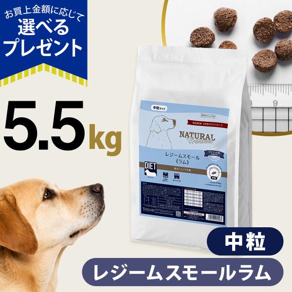 （順次パッケージ変更）(選べるプレゼント付き)ナチュラルハーベスト レジーム スモール ラム 5.5kg 低脂肪 低カロリー 体重管理 成犬 シニア犬用