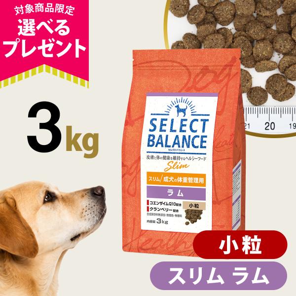 (選べるプレゼント付き)セレクトバランス スリム ラム 小粒 3kg 成犬 1才以上成犬 減量 ダイエット 体重調整 避妊 去勢
