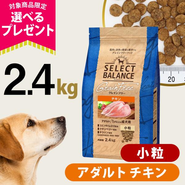 (選べるプレゼント付き)セレクトバランス グレインフリー アダルト チキン 小粒 2.4kg 犬 無添加 穀物不使用 オメガ6 グルコサミン