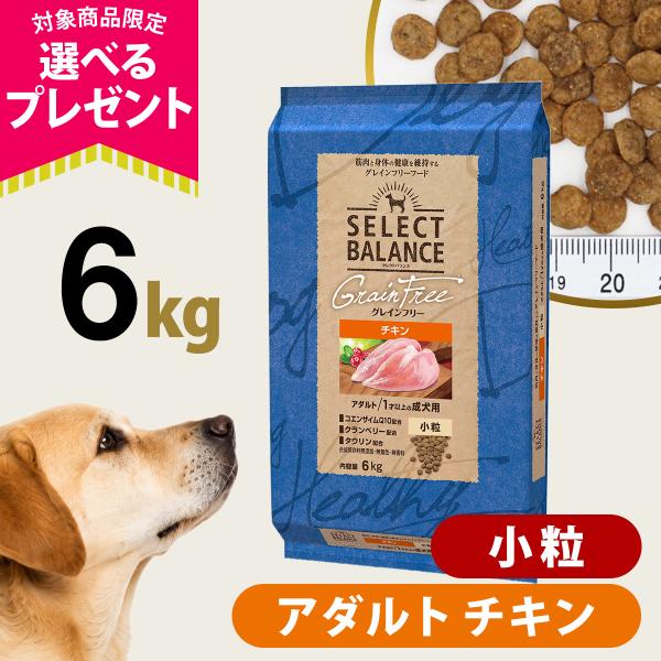 (選べるプレゼント付き)セレクトバランス グレインフリー アダルト チキン 小粒 6kg 犬 無添加 穀物不使用 オメガ6 グルコサミン