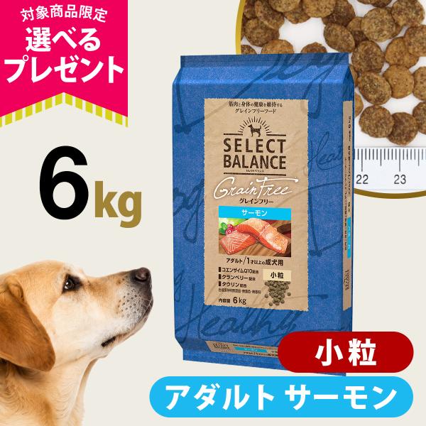 (選べるプレゼント付き)セレクトバランス グレインフリー アダルト サーモン 小粒 6kg 無添加 穀物不使用 オメガ6 グルコサミン 爆買