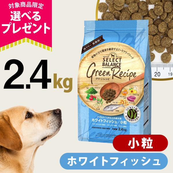(選べるプレゼント付き)セレクトバランス グリーンレシピ ホワイトフィッシュ 小粒 2.4kg ドライ 成犬 魚 犬 ドックフード