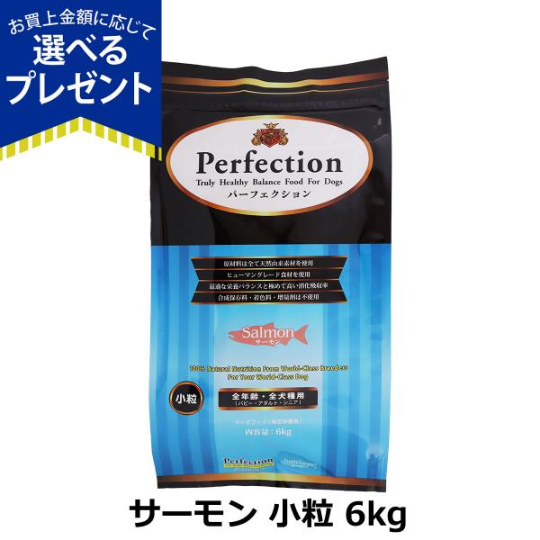 [2026年10月1日価格改定](選べるプレゼント付き) パーフェクション ドッグフード サーモン 小粒 6kg 犬 ドック グルテンフリー 全年齢 Perfection