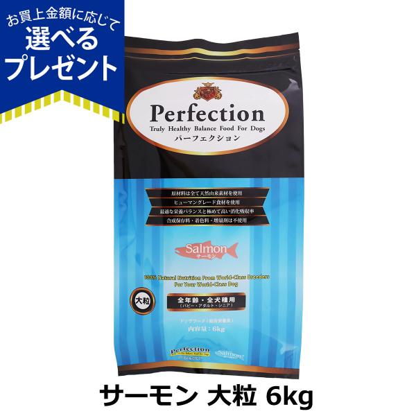 [2026年10月1日価格改定](選べるプレゼント付き) パーフェクション ドッグフード サーモン 大粒 6kg 犬 ドック グルテンフリー 全年齢 Perfection