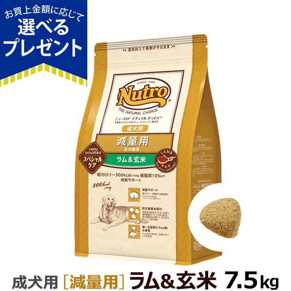 ニュートロ ナチュラルチョイス ドッグフード 全犬種成犬 減量用 ラム 玄米 7 5kg お取り寄せ ドッグパラダイスぷらすニャン 通販 Paypayモール
