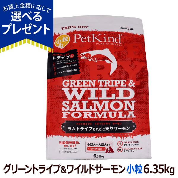 【順次パッケージ変更】(選べるプレゼント付き) ペットカインド トライプドライ グリーントライプ＆ワイルドサーモン 小粒 6.35kg グレインフリー 穀物不使用