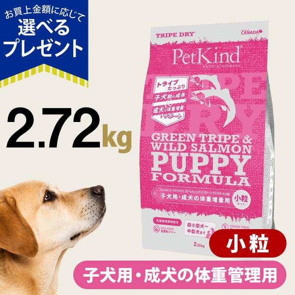 ペットカインド ドッグフード パピー＆ウェイトアップ グリーントライプ＆サーモン 小粒 230g 子犬 ラム