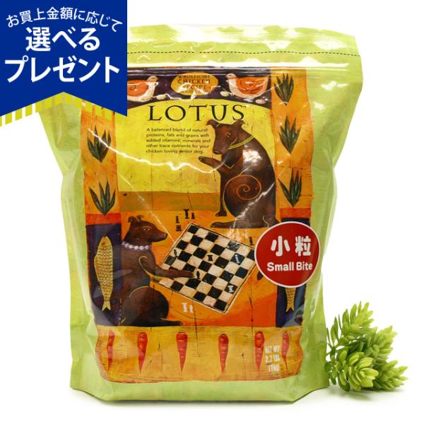 ロータス ドッグフード グレインフリー シニアドッグ チキンレシピ小粒 6kg お取り寄せ ドッグパラダイスぷらすニャン 通販 Paypayモール